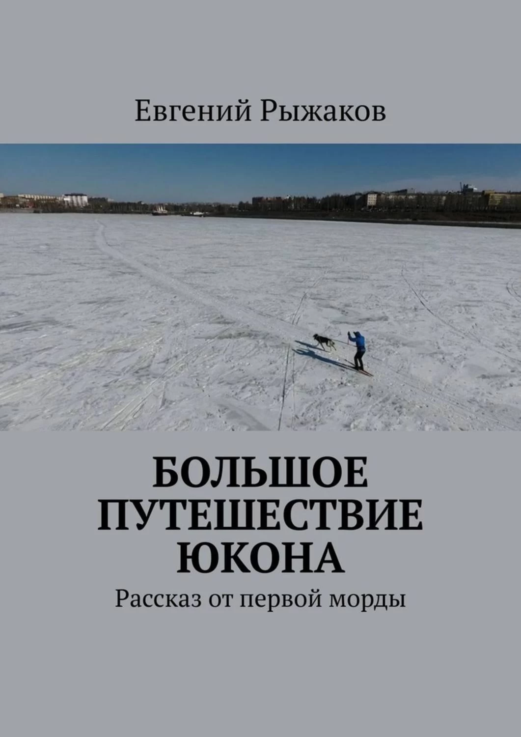 Книга морды. Рыжаков книги.